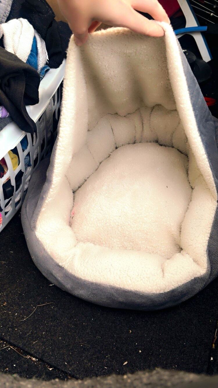 Petmate Nuzzler Round Cave Dog Bed, Gray Plush Sherpa Hooded, S, Washable